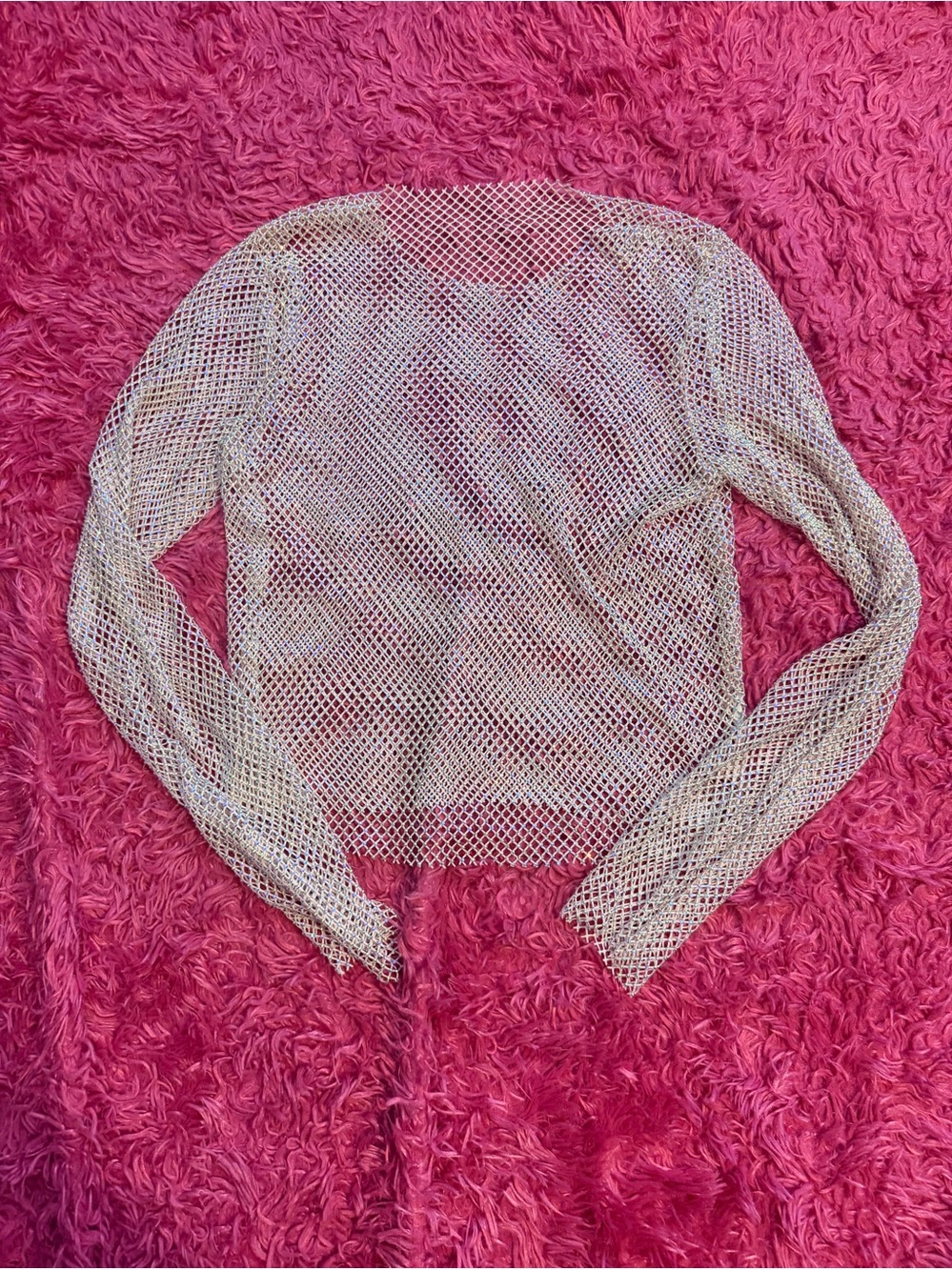 Iridescent Mesh Long Sleeve Top - Sheer Shimmer